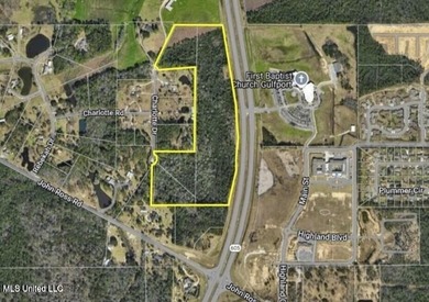 Investment Opportunity with 2,255 feet of frontage on Hwy 605, a - photo 1