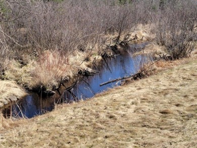 (private lake, pond, creek) Acreage For Sale in Loretta Wisconsin