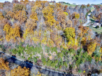 Norris Lake View and Lake Access Building Lot - Lake Lot For Sale in New Tazewell, Tennessee