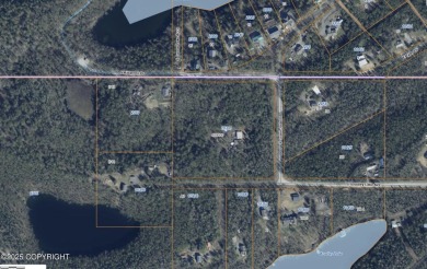 Lake Lot For Sale in Palmer, Alaska