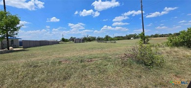 Perfect Commercial Lot on Busy Hwy 317! Enough land to build - photo 3
