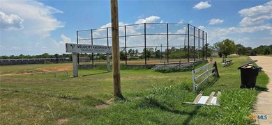 Perfect Commercial Lot on Busy Hwy 317! Enough land to build - photo 4