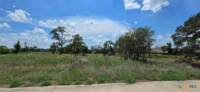 Perfect Commercial Lot on Busy Hwy 317! Enough land to build - photo 6