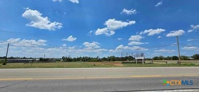Perfect Commercial Lot on Busy Hwy 317! Enough land to build - photo 8