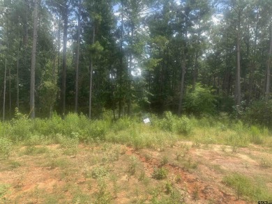 (private lake, pond, creek) Acreage For Sale in Hawkins Texas