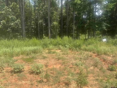This gorgeous 10+ acre property is filled with mature trees - photo 2