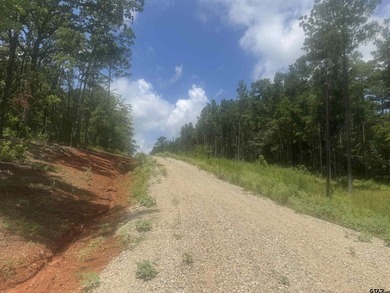 This gorgeous 10+ acre property is filled with mature trees - photo 3