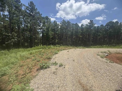 This gorgeous 10+ acre property is filled with mature trees - photo 4