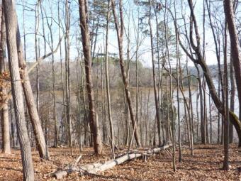 Premium Waterfront Lot # 76 - In Beautiful Runaway Bay - Lake Lot For Sale in Lynch Station, Virginia