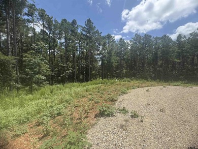 This gorgeous 10+ acre property is filled with mature trees - photo 5