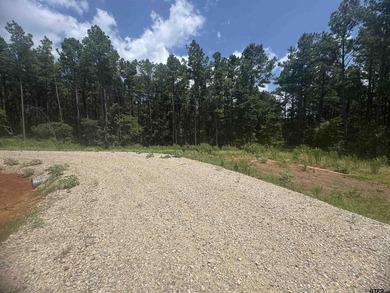 This gorgeous 10+ acre property is filled with mature trees - photo 6