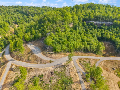 LAKE FRONT BUILDING LOT ON WOOD CREEK LAKE - photo 11