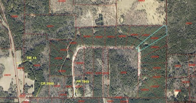 This gorgeous 10+ acre property is filled with mature trees - photo 8