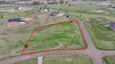 (private lake, pond, creek) Acreage For Sale in Flora Mississippi