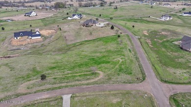 Come build your custom, dream home on this gorgeous, 3.03 acre - photo 2