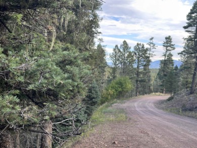 Lake Lot For Sale in Angel Fire, New Mexico