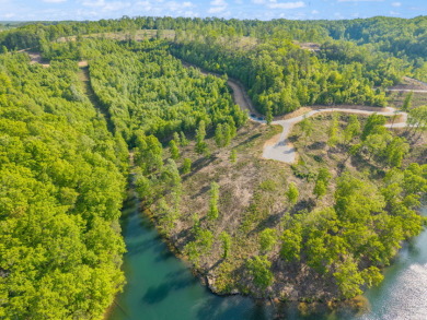 LAKE FRONT BUILDING LOT ON WOOD CREEK LAKE - photo 19