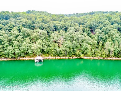 Norris Lakefront lot. Appx 144 foot of main channel lake - photo 2