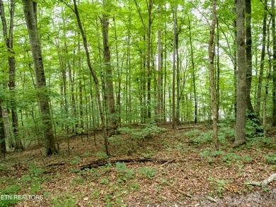 Norris Lakefront lot. Appx 144 foot of main channel lake - photo 3