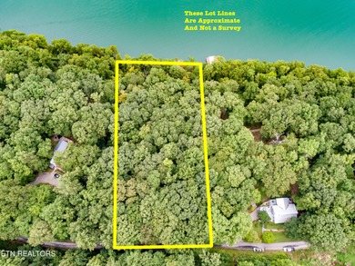 Norris Lakefront lot. Appx 144 foot of main channel lake - photo 5