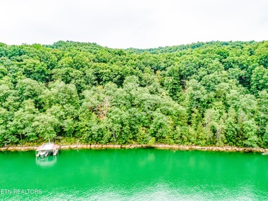 Norris Lakefront lot. Appx 144 foot of main channel lake - photo 6
