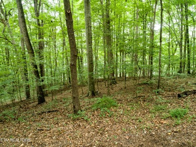 Norris Lakefront lot. Appx 144 foot of main channel lake - photo 7