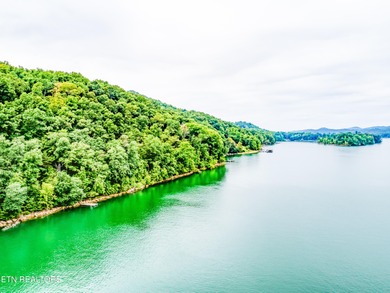 Norris Lakefront lot. Appx 144 foot of main channel lake - photo 8