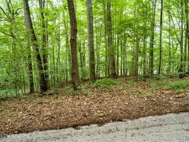 Norris Lakefront lot. Appx 144 foot of main channel lake - photo 9