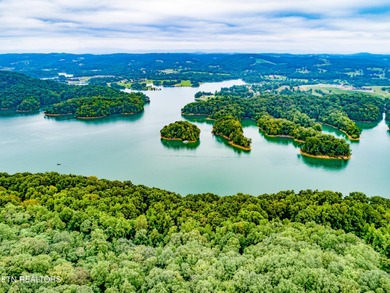 Norris Lakefront lot. Appx 144 foot of main channel lake - photo 10