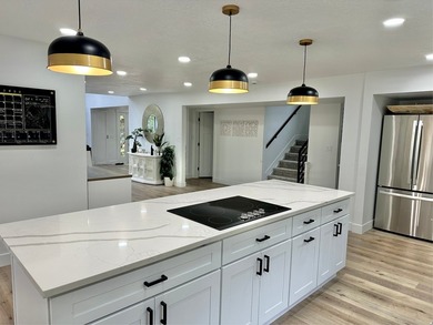 This beautifully remodeled home sits hidden, tucked away on a - photo 13
