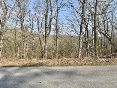 Are you are looking for the perfect lot to build your dream - photo 1