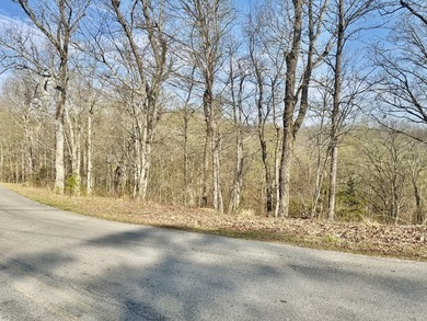 Are you are looking for the perfect lot to build your dream - photo 2