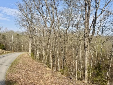 Are you are looking for the perfect lot to build your dream - photo 3
