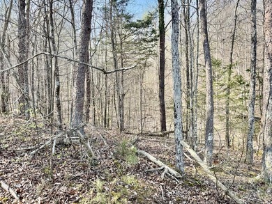 Are you are looking for the perfect lot to build your dream - photo 5