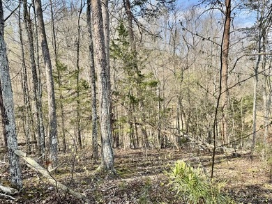 Are you are looking for the perfect lot to build your dream - photo 6