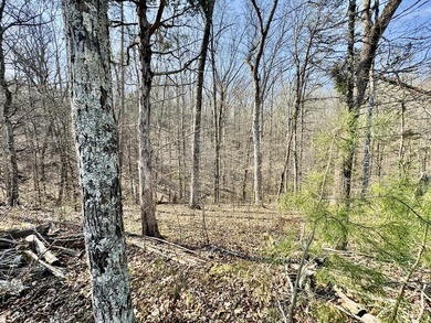 Are you are looking for the perfect lot to build your dream - photo 8