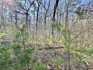 Are you are looking for the perfect lot to build your dream - photo 9