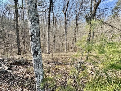Are you are looking for the perfect lot to build your dream - photo 10