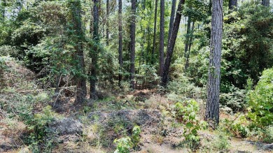 Lake Sam Rayburn  Lot For Sale in Brookeland Texas