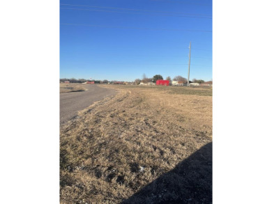 Lake Lot For Sale in Nevada, Texas