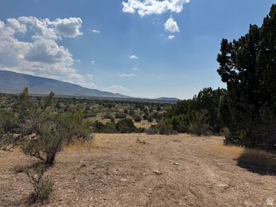 Utah Lake Acreage For Sale in Fillmore Utah