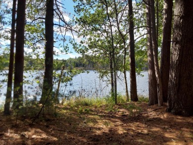 Lake Lot For Sale in Minocqua, Wisconsin