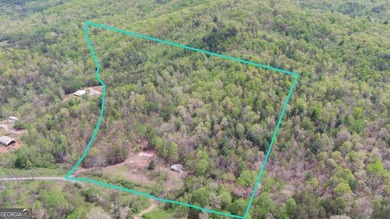 (private lake, pond, creek) Acreage For Sale in Turtletown Tennessee