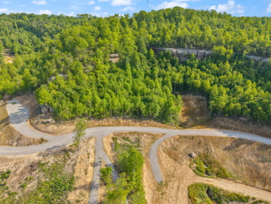 LAKE FRONT BUILDING LOT ON WOOD CREEK LAKE - photo 10