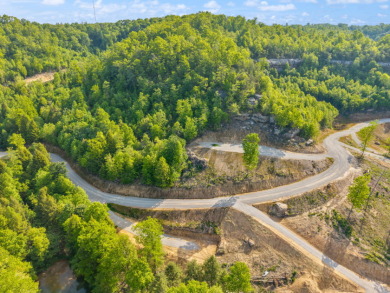 LAKE FRONT BUILDING LOT ON WOOD CREEK LAKE - photo 12