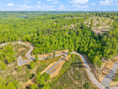 LAKE FRONT BUILDING LOT ON WOOD CREEK LAKE - photo 16