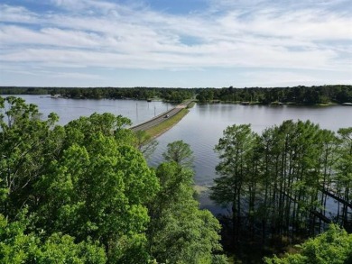 Gorgeous building spot nestled on the banks of Toledo Bend Lake - Lake Lot Off Market in Hemphill, Texas