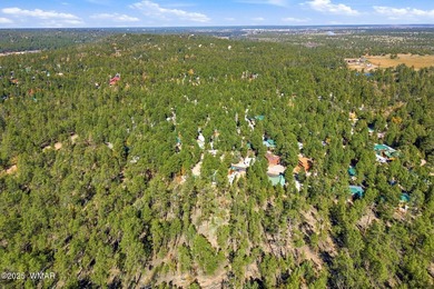 Nestled on a premium, private lot surrounded by towering pines - photo 30