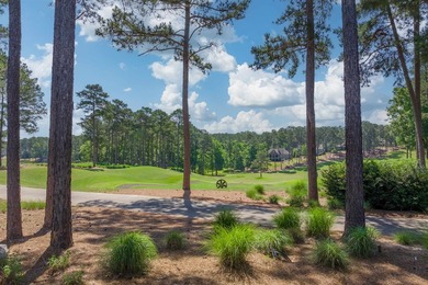 Exceptional, newer construction Creek Club golf home, complete - photo 52