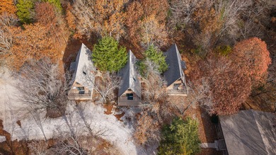 Lake Condo For Sale in Branson West, Missouri